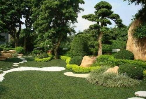 园林绿化爆料视频,爆料视频带你一探究竟